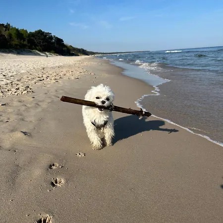 Aquapolanki Apartman *