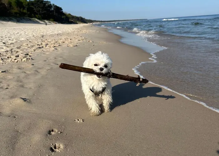 Aquapolanki Apartmán *